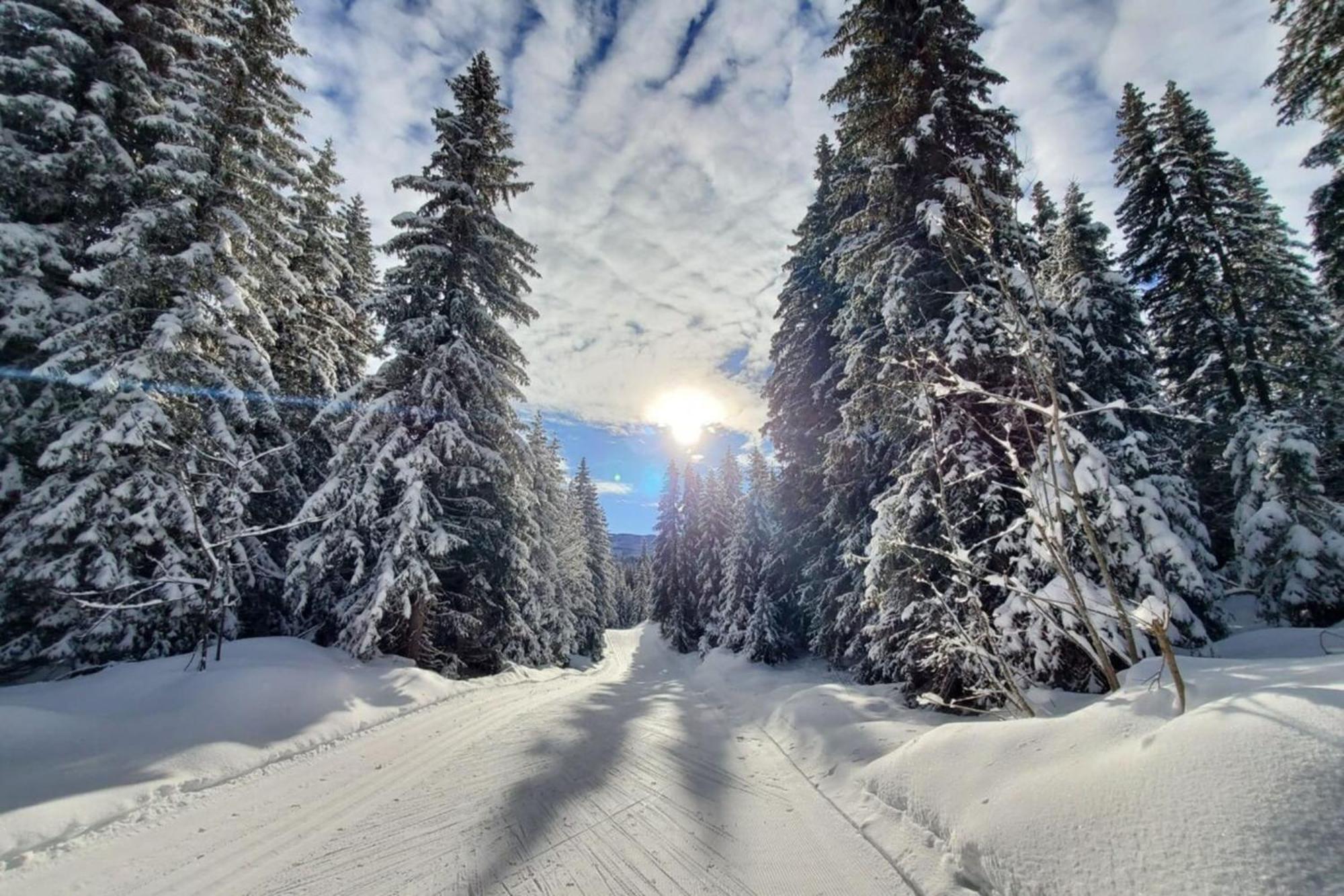 Cozy Apartment "Wapiti" At The Foot Of The Slopes Les Déserts Exterior foto